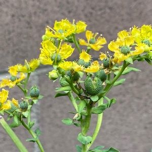 Meet your Posher, Cristal